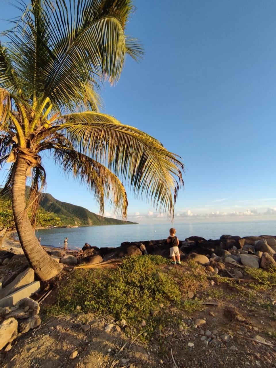 Kaz A Soley - Gite Vue Panoramique Sur La Mer - Plage A 500M Gourbeyre Zewnętrze zdjęcie
